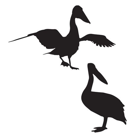 Pelican silhouette art 7243108 Vector Art at Vecteezy