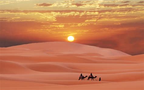 Background Padang Pasir / Beautiful Silhouette Camel With Palm Tree Islamic Background Eid Al ...