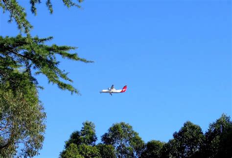 Sydney Daily Photo extras: Flying Kangaroo - for Kate in St Paul