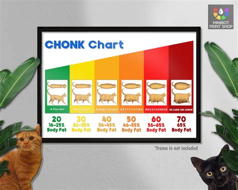 The Chonk Chart FEMALE , Cat Weight Gain Poster, Veterinary Wall Art, Funny and Cute Animals ...