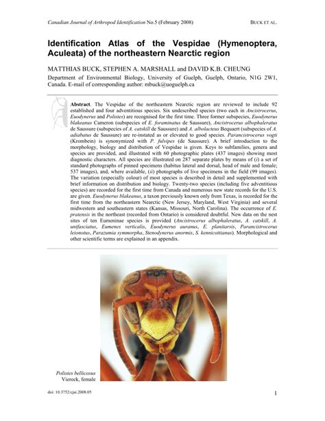 (PDF) Identification Atlas of the Vespidae (Hymenoptera, Aculeata) of the northeastern Nearctic ...