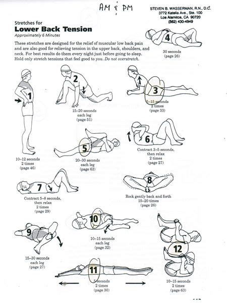 Exercises To Help Pinched Nerve In Lower Back – Online degrees