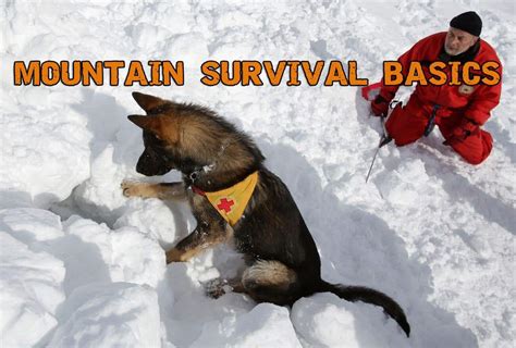 Mountain Survival - How To Survive In The Mountains - Prepper's Will