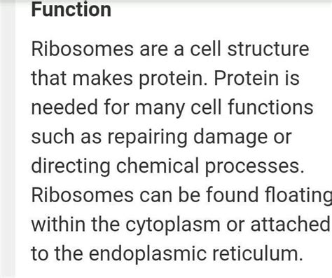 any five functions of ribosomes - Brainly.in