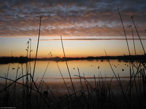 Duck Hunting Backgrounds - Wallpaper Cave