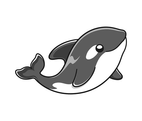 Cute Orca whale vector illustration. Killer whale cartoon clipart. 16137732 Vector Art at Vecteezy