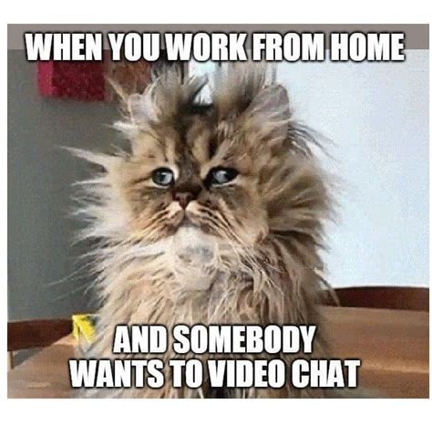 17 Awesome Work From Home Memes | Work humor, Work memes, Working from home