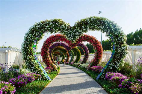 Dubai Miracle Garden: A flower paradise - Passion for Dubai