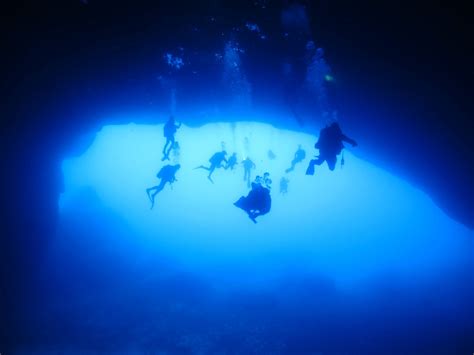 Paradise Bay, Malta - Oyster Diving