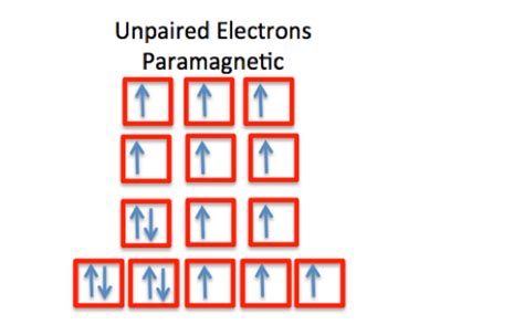 Spin Quantum Number | Overview & Examples - Lesson | Study.com