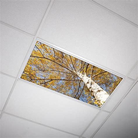 Octo Lights - Fluorescent Light Covers - 2x4 Flexible Decorative Light Diffuser Panels - Tree ...