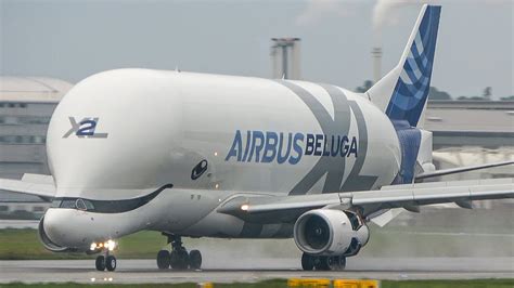 AIRBUS BELUGA XL LANDING with amazing WING VORTEX - A300 and A330 Beluga (4K) - YouTube