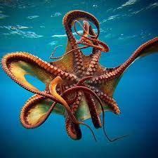 Image result for octopus ink defense | Deep sea creatures, Octopus pictures, Octopus