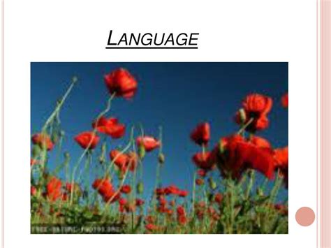 PPT - Poppies in July PowerPoint Presentation, free download - ID:1485587