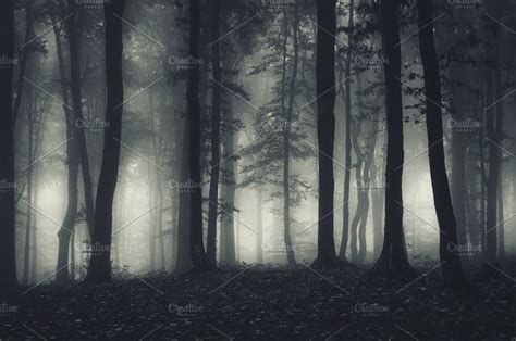 Dark haunted forest at night containing dark, forest, and fog | Haunted ...