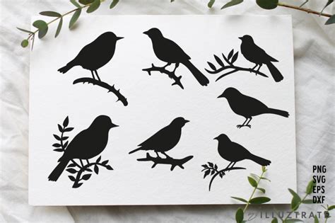 Bird SVG Cut Files | Bird Silhouette Clipart | Bird Silhouette PNG By PicPixPic | TheHungryJPEG