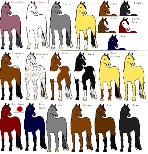 Horse Colors + Markings by tenshichild on DeviantArt