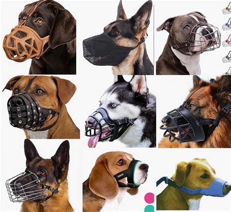 Dog Muzzle Types: Choosing the Right One for Your Canine Companion – Pets Plus Supplies