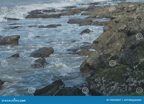 The Small Waves on the Beach Stock Image - Image of rural, growth: 156264837