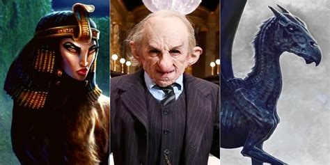 10 Smartest Magical Creatures In Harry Potter, Ranked