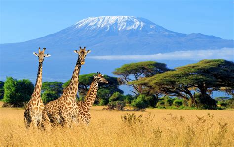 The Chagga of Kilimanjaro | Mount Kilimanjaro | Tanzania