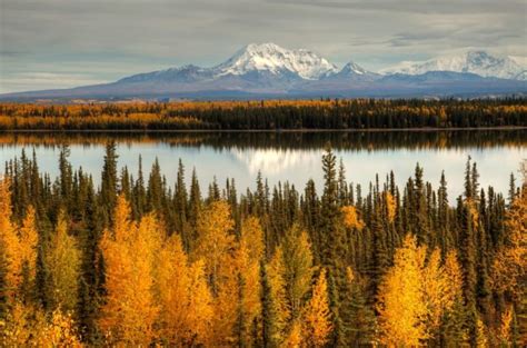 Soldotna B&B Lodge | alaska-fall-foliage