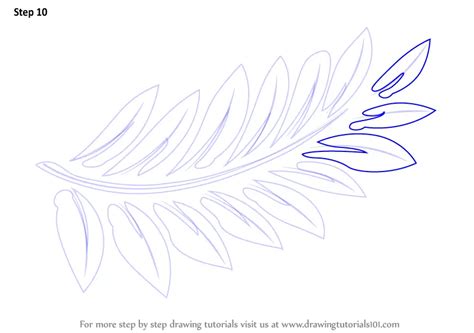 Learn How to Draw Fern-fronds (Plants) Step by Step : Drawing Tutorials