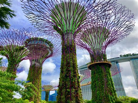 Gardens by the Bay Singapore & Marina Bay Sands - on a budget + night ...