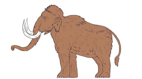 Woolly Mammoth Drawing | Free download on ClipArtMag