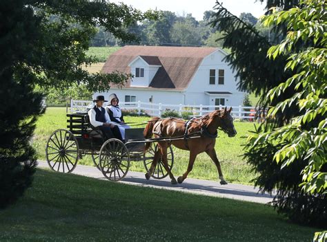 13 Amish Wedding Traditions and Rituals - Wedbuddy