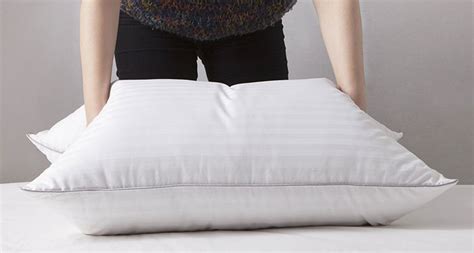 Best Down Pillows Reviews 2024: Top 6 Comparison • InsideBedroom