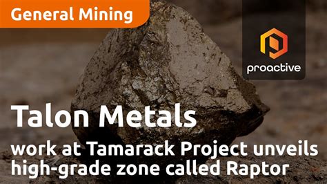 Talon Metals exploration work at Tamarack Project unveils new high ...