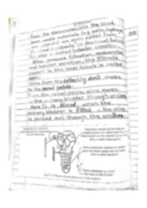 SOLUTION: Urine formation - Studypool