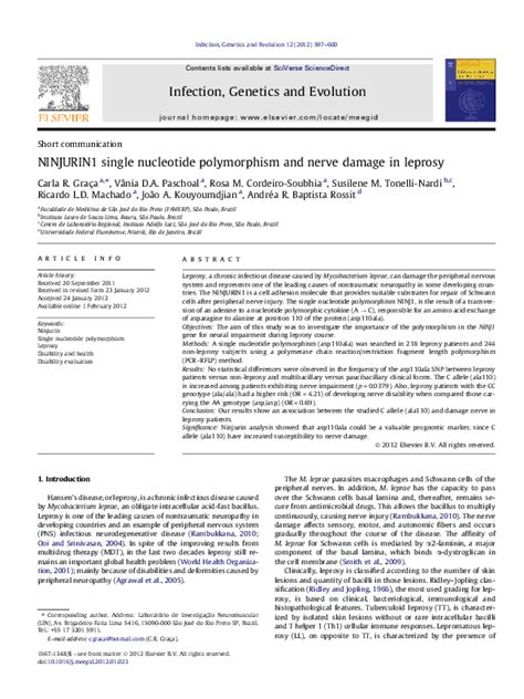 (PDF) NINJURIN1 single nucleotide polymorphism and nerve damage in leprosy | Vânia Paschoal ...