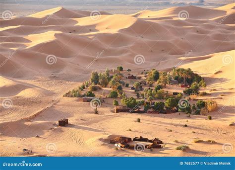 Oasis in Sahara desert stock image. Image of survival - 7682577