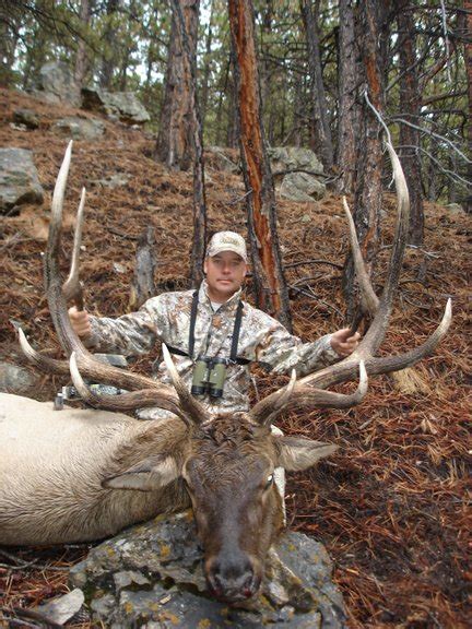 350+ Bull elk Pics | Page 2 | Archery Talk Forum