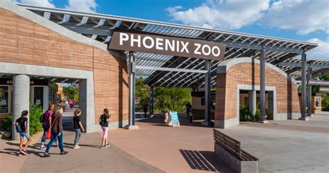 The Essential Guide You Need To The Phoenix Zoo