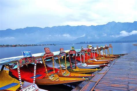 Shikara Ride at Dal Lake, Cost of Shikara Ride in Dal Lake Srinagar