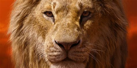 Lion King Character Posters Reveal Best Look At Timon, Pumbaa & More