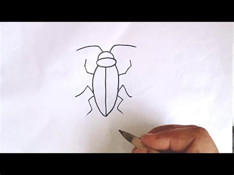 How To Draw Cockroach - Longfamily26