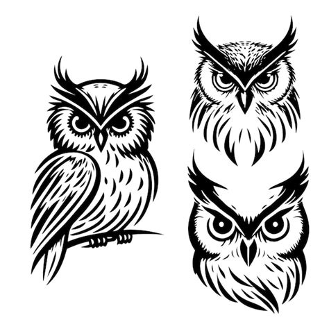 Premium Vector | Owl logo set Owl logo vector silhouette