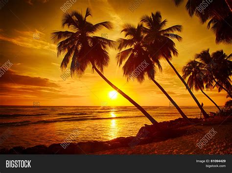 Beautiful Sunset Over Image & Photo (Free Trial) | Bigstock