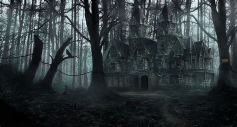 Creepy Forest Wallpaper - WallpaperSafari