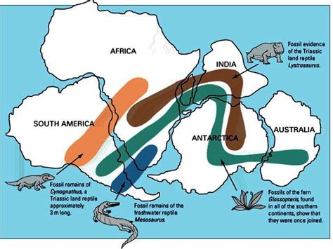 Geology, Biology Agree on Pangaea Supercontinent Breakup Dates - Geology In