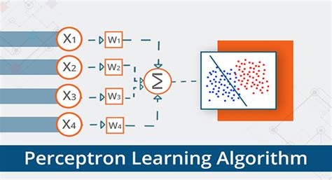 Perceptron Algorithm – Edureka – Medium