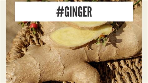 Ginger - natural remedy for cold symptoms | ShittyHealth