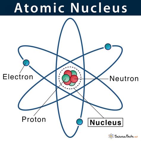 Proton: Definition, Characteristics, & Location with Example