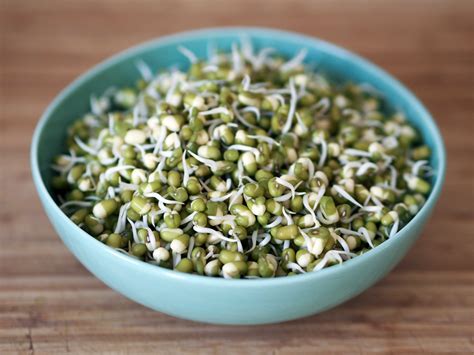 MUNG BEAN SPROUTS NUTRITION & ITS BIG BENEFITS - Natural Roots and Seeds