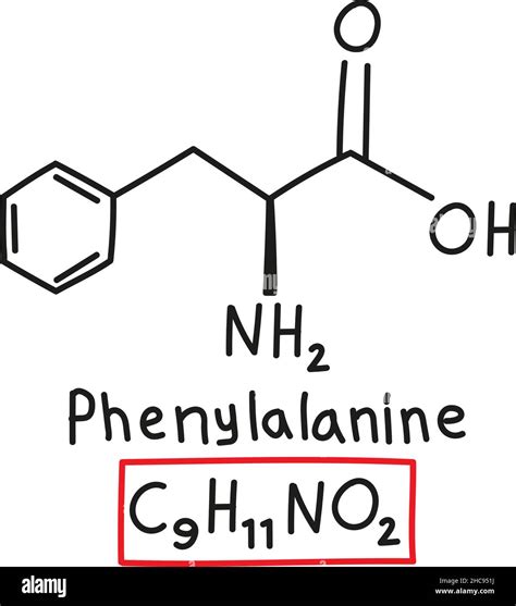 Phenylalanine amino acid molecule hi-res stock photography and images - Alamy