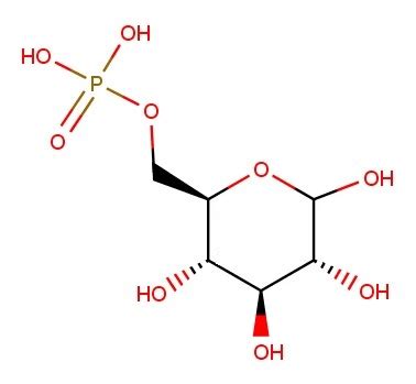 Glucose 6-Phosphate | SIELC